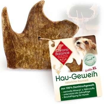 Produkt Test Titelbild