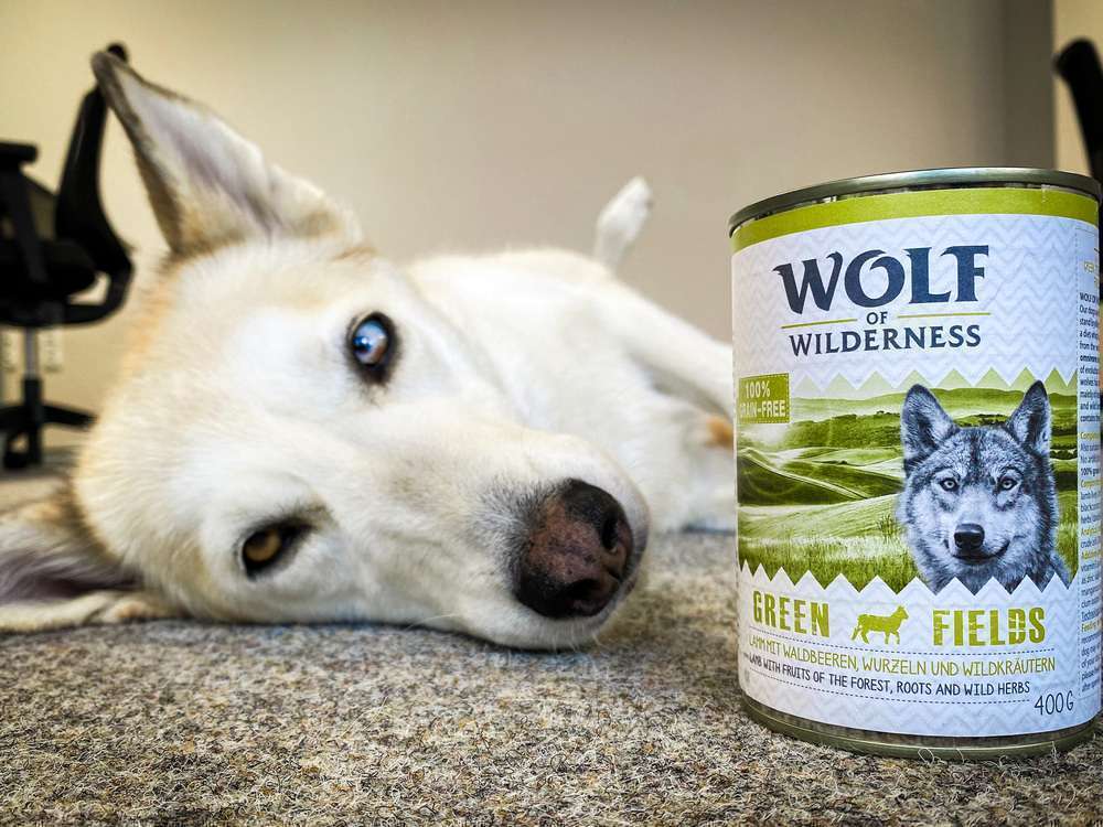 tests-Getreidefreies Nassfutter im Test – Wolf of Wilderness Green Fields-Bild