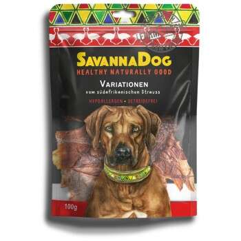 tests-SavannaDog Variationen vom südafrikanischen Strauß-Bild