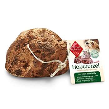 Produkt Test Titelbild