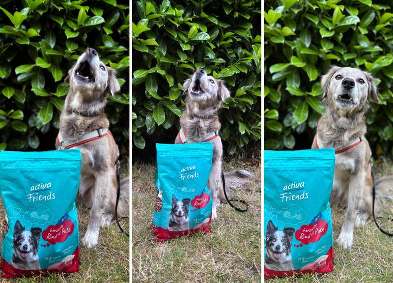 3 Bilder von Kjell, wie er das activaFriendsTF fängt