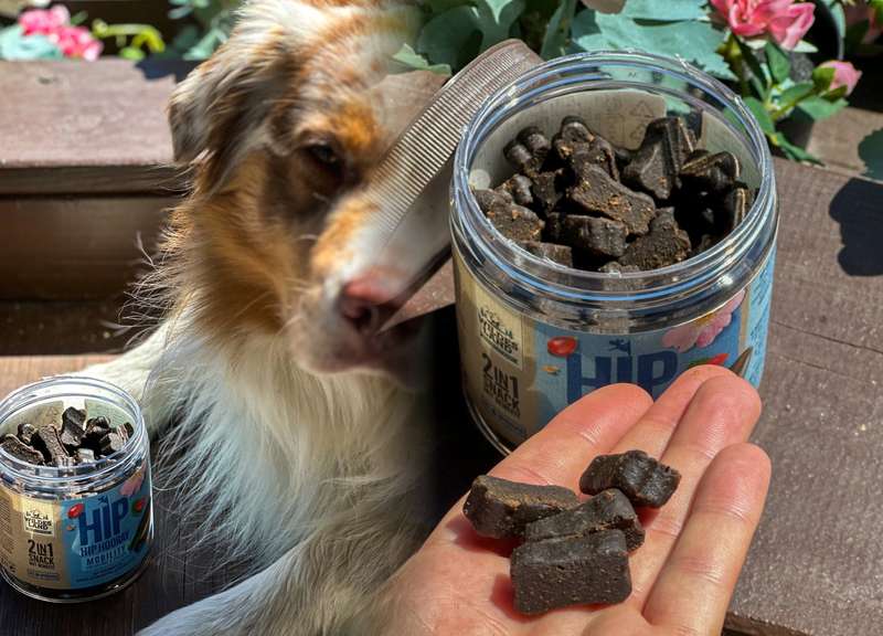 Luki links und recht MOBILITY Dose mit Snack in der Hand