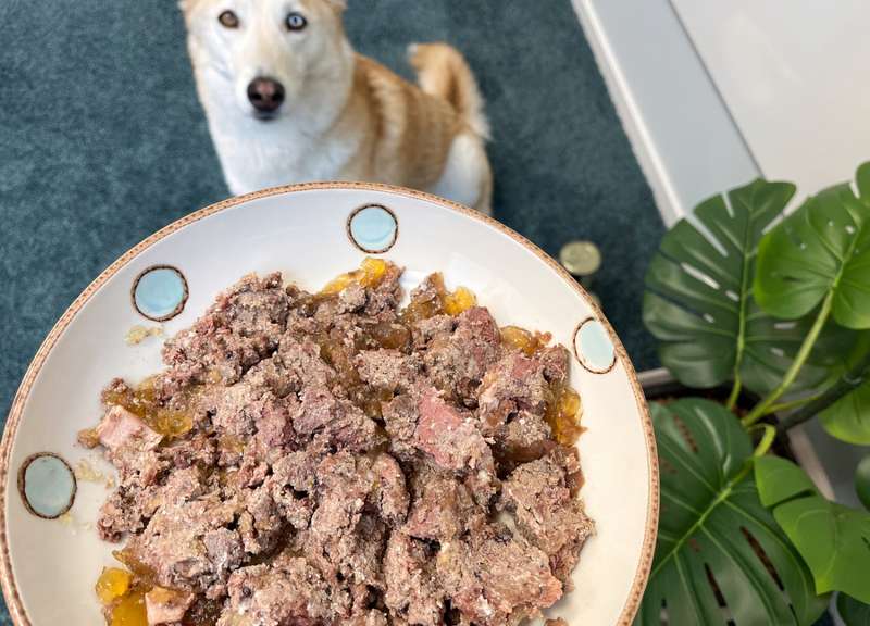 WILDKIND GreenField im Napf, mit Kaya