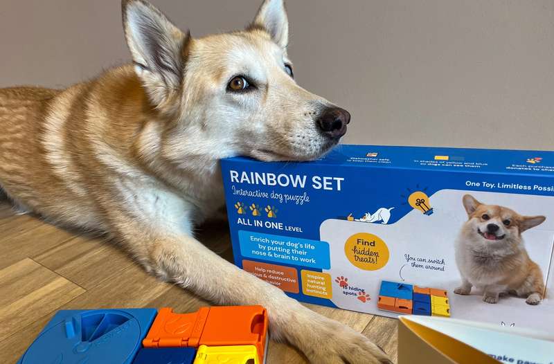 Kaya liegt auf Pawzler Packung