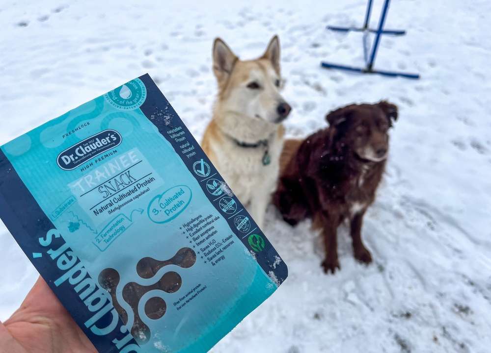 tests-Trainee Snack Cultivated Protein von Dr.Clauder‘s im Test | Fressnapf Innovation Award - Wie gut sind die Leckerlis ohne Fleisch?-Bild