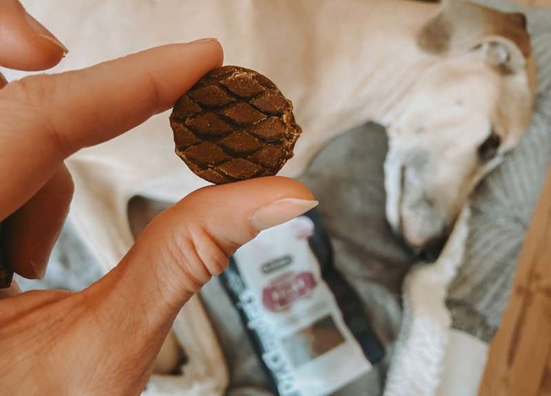 Tadashi liegt auf dem Boden, vor ihm Relax Snack, Nahaufnahme