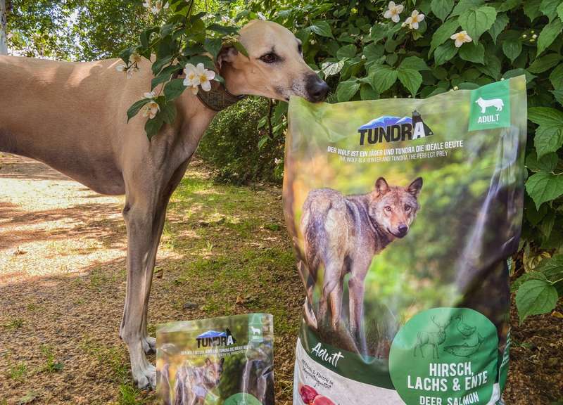Nadir mit dem Futtersack von Tundra