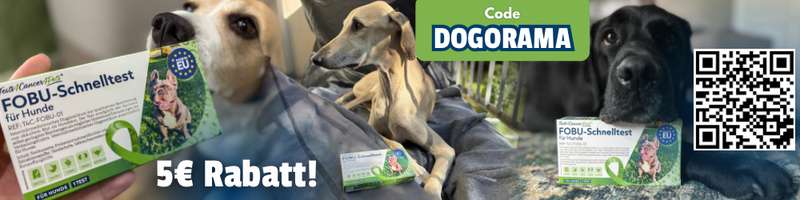 Banner Gutschein 5 Euro Rabatt f&uuml;r Tests4Pets