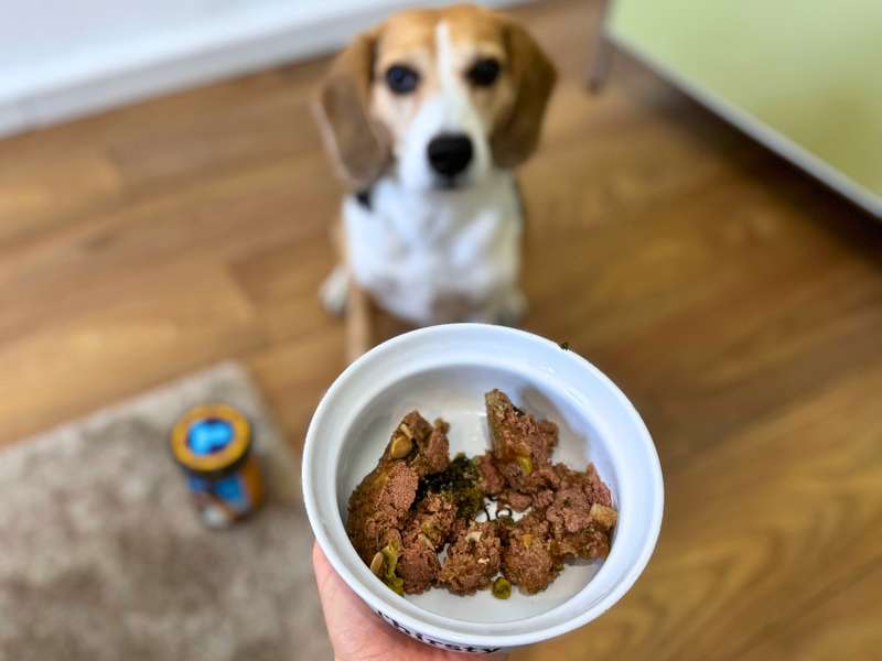 Tasty Petfood Frischfutter im Glas Holy Beef im Test Geschmack und Konsistenz