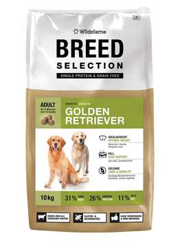 tests-Wildsterne Breed Selection Golden Retriever-Bild