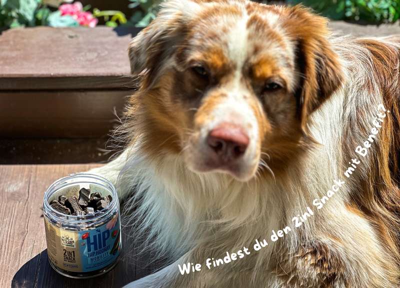 Luki mit dem MOBILITY Snacks