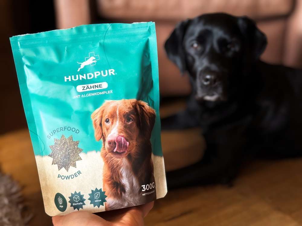 HUNDPUR ZÄHNE – natürliche Zahnpflege im Praxischeck | mit Tierarzt Einschätzung