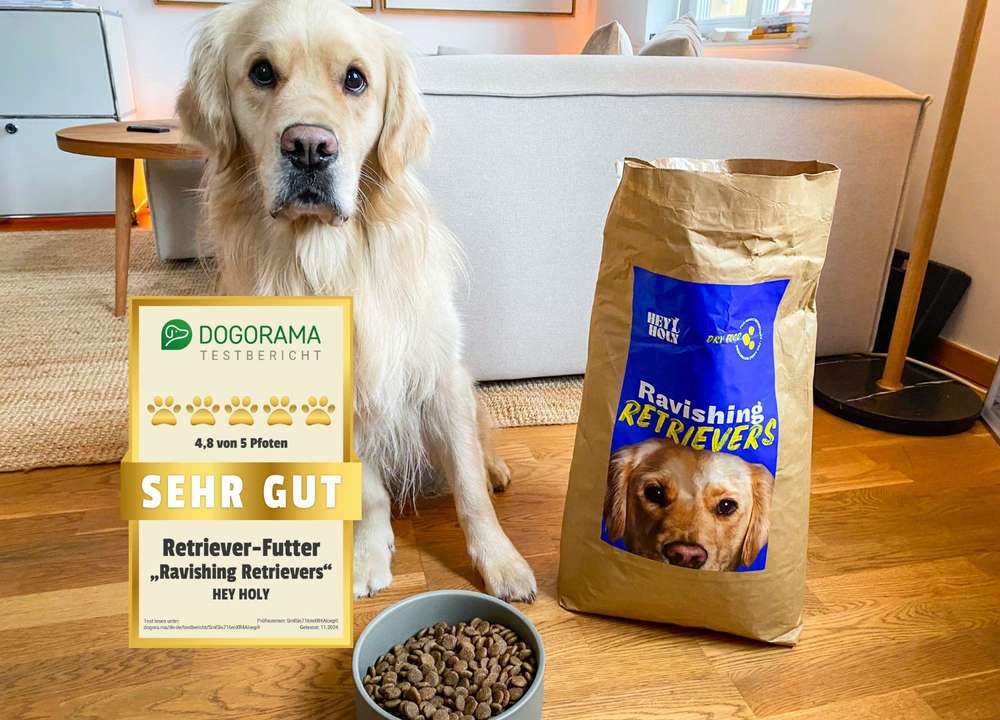 HEY HOLY Ravishing Retrievers im Dogorama Test | Tierarztbewertungen und Feedback echter Hundehalter