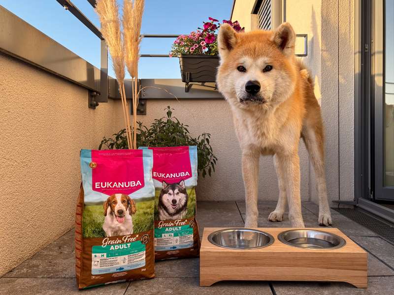 EUKANUBA Trockenfutter mit Seefisch getreidefrei im Test mit Akita Aiko