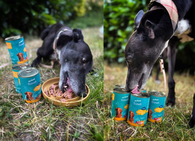 activaFriendsNF und Newton 