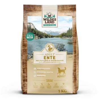 Produkt Test Titelbild