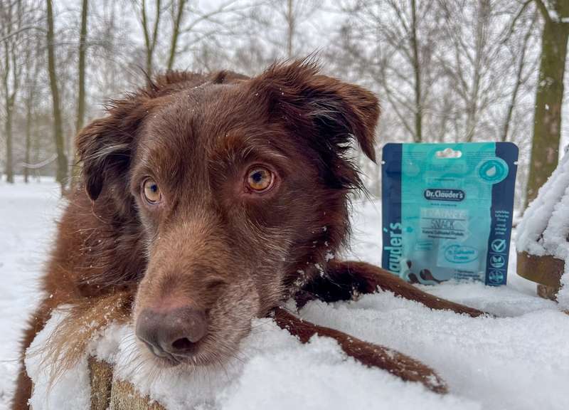 Dori mit dem Trainee Snack Cultivated Protein