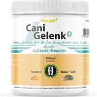 Produkt Test Titelbild