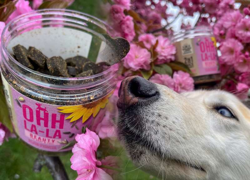 Bild von Dose BEAUTY und Kaya daneben 