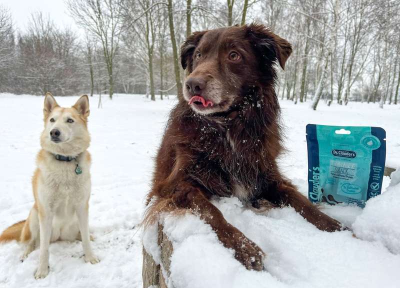 Dori und Kaya mit dem Trainee Snack Cultivated Protein im Schnee