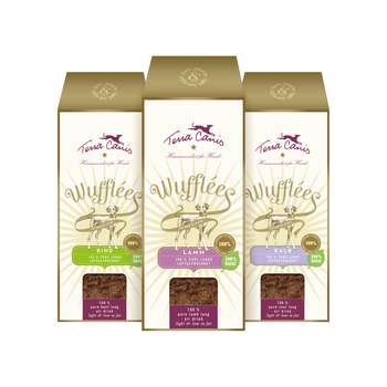 Produkt Test Titelbild