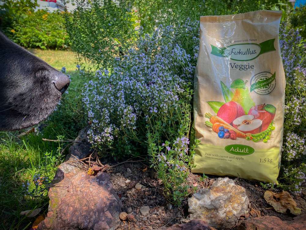 tests-Kann ich meinem Hund kaltgepresstes, veganes Trockenfutter geben – Lukullus Veggie Hundefutter im Test-Bild