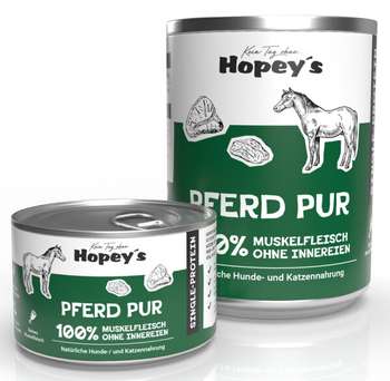 tests-Hopey's Pferd Pur-Bild