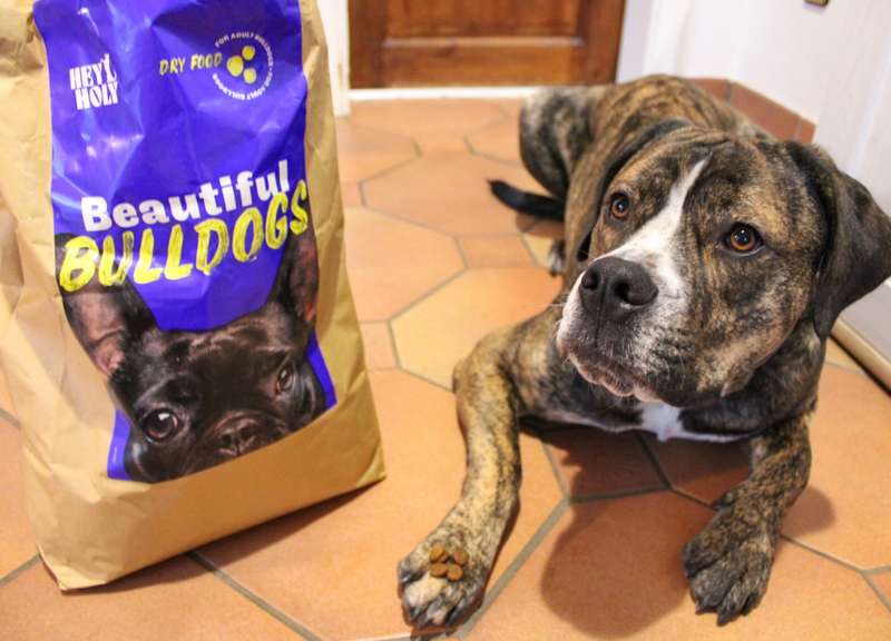 Hund neben Futtersack, Kroketten auf dem Pfötchen