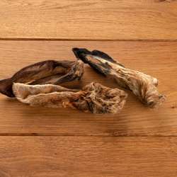 Produkt Test Titelbild