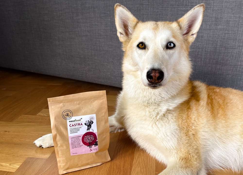 Erfahrungsbericht nosefood+ CASTRA für kastrierte Hündinnen: Dogorama Test inkl. Tierarztmeinung