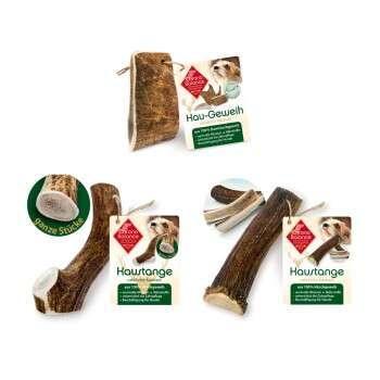 Produkt Test Titelbild