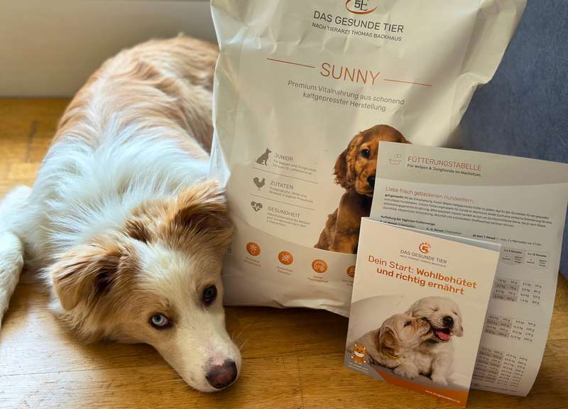 Maxi mit dem Das Gesunde Tier Welpenfutter SUNNY