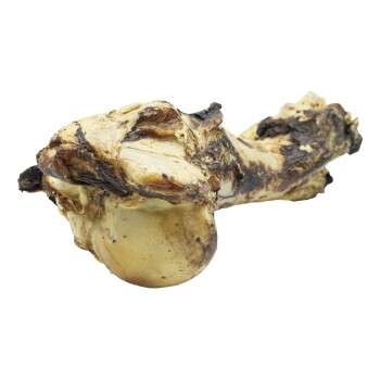 Produkt Test Titelbild