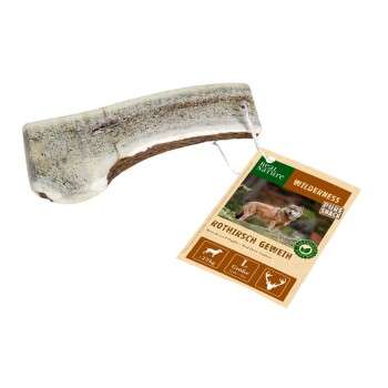 Produkt Test Titelbild