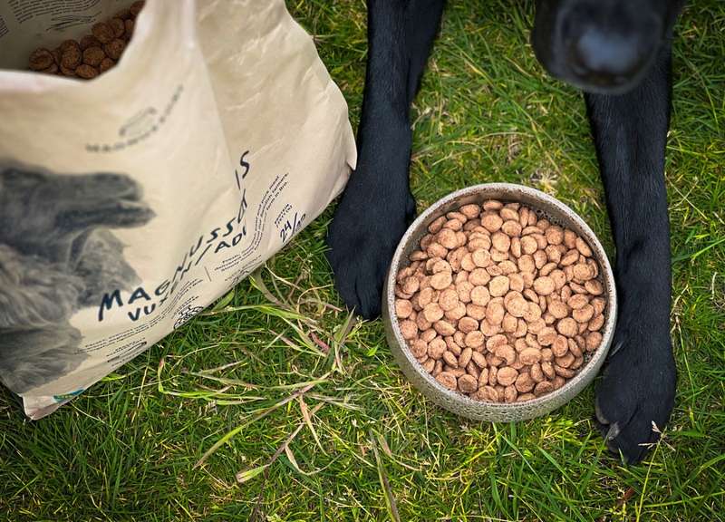 Trockenfutter in Schüssel, Futterbeutel zu sehen