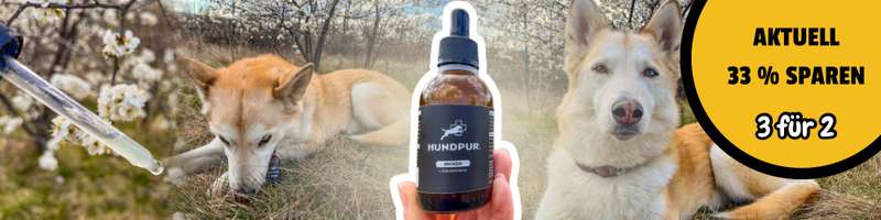 Zeckenschutz Alternative ohne Chemie Erfahrungen HUNDPUR