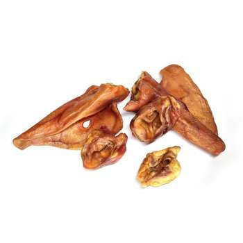 Produkt Test Titelbild