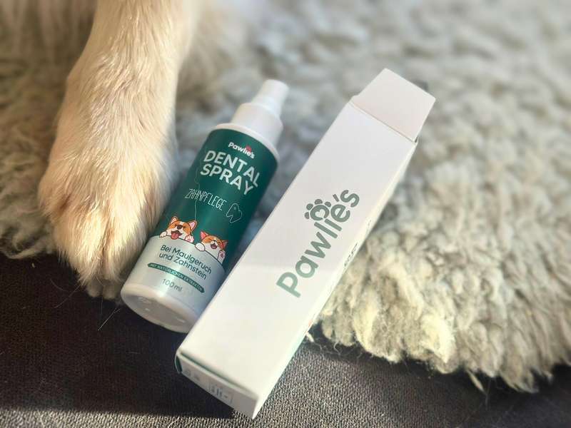 Was bringt Dentalspray von Pawlie&lsquo;s, Nahaufnahme vom Spray