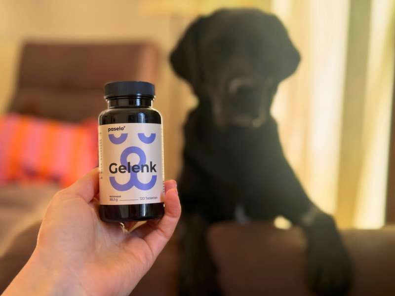 Sali mit den paselo Gelenktabletten