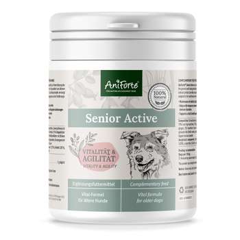 tests-AniForte Senior Active-Bild