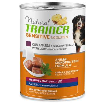 Produkt Test Titelbild