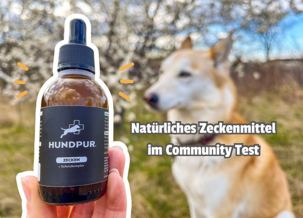 tests-Natürlicher Zeckenschutz für Hunde: Hält der Hundpur® Zeckenschutz, was er verspricht? | inkl. Tierarzt und Community Bewertung -Bild
