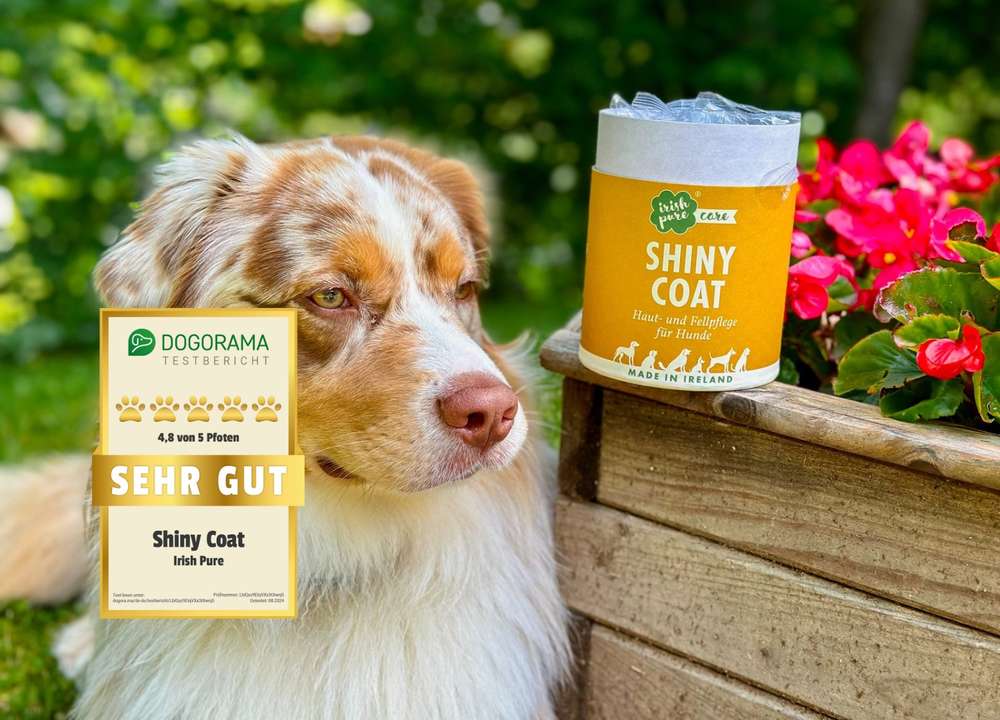 tests-Irish Pure Shiny Coat im Dogorama Test | Erfahrungen mit den Nahrungsergänzungsmittel Snacks für schöneres Fell-Bild