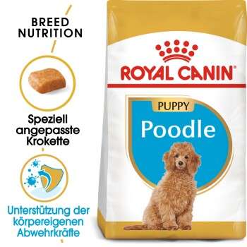 tests-Royal Canin Poodle Puppy-Bild