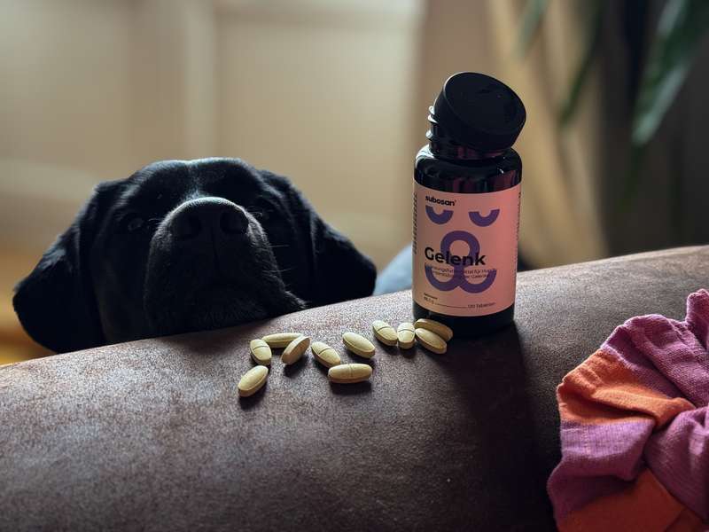 Sali mit den subosan Gelenktabletten