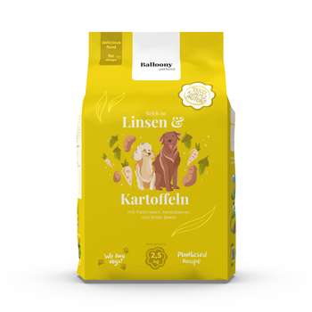 Produkt Test Titelbild