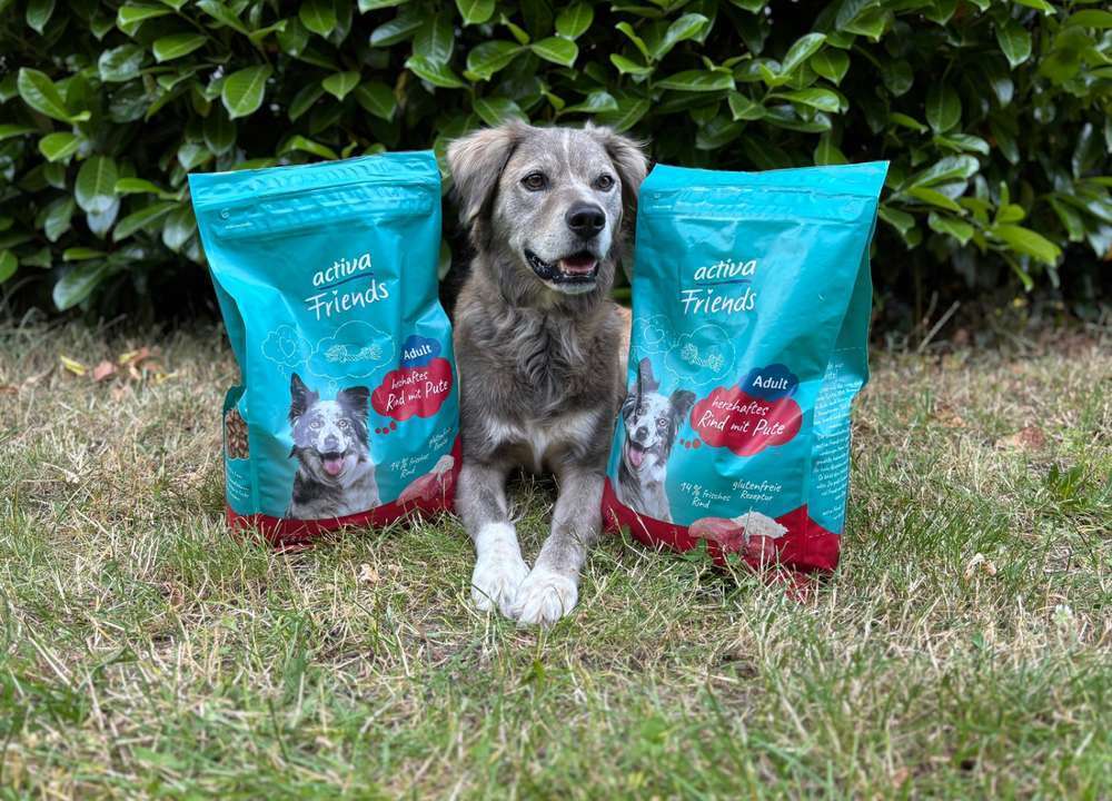 tests-Wie gut ist das activa Friends Adult Rind mit Pute Trockenfutter? | Unsere ehrliche Meinung mit tierärztlicher Einschätzung-Bild