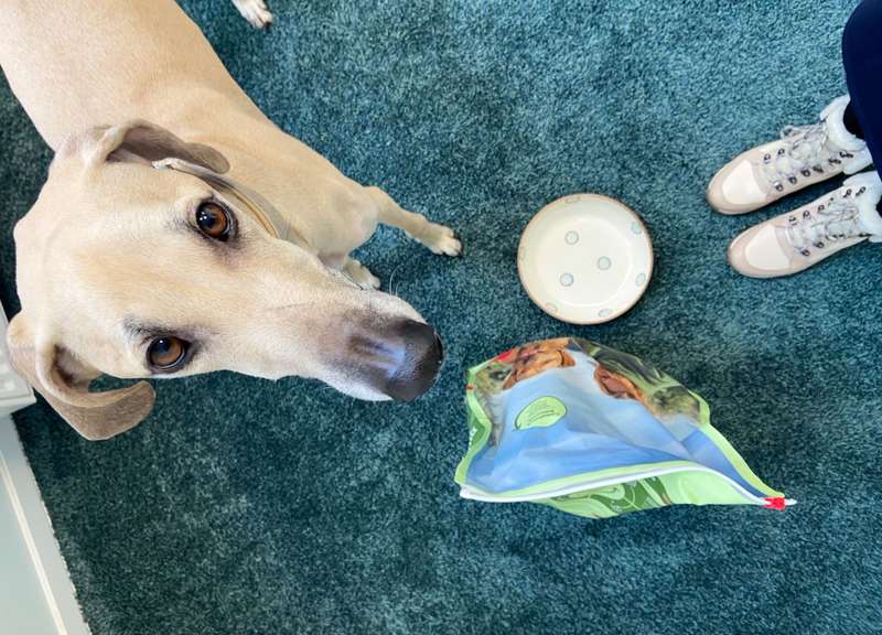 bild von oben, zu sehen ist Tadashi und der Futtersack von mera
