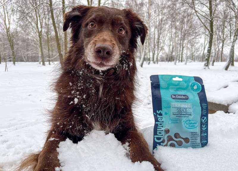 Dori mit dem Trainee Snack Cultivated Protein