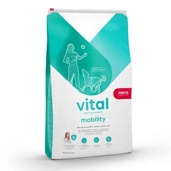 tests-MERA vital mobility Hund-Bild